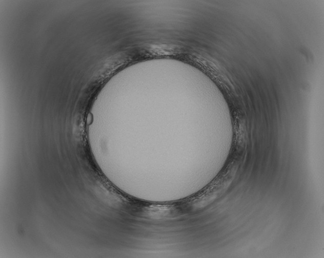 X0000112030418200908311219