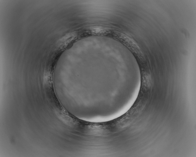 X0000112030419200908311219