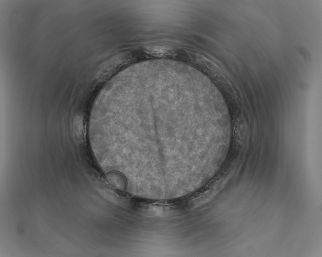 X0000112030420200908311219