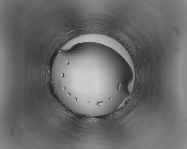 X0000112030421200908311219