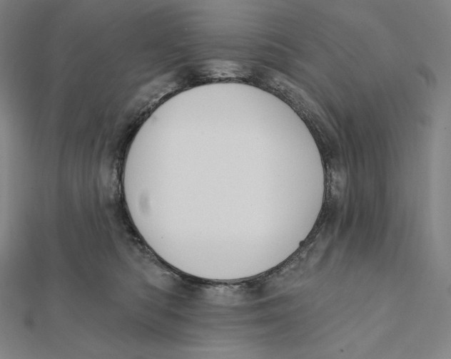 X0000112030422200908311219