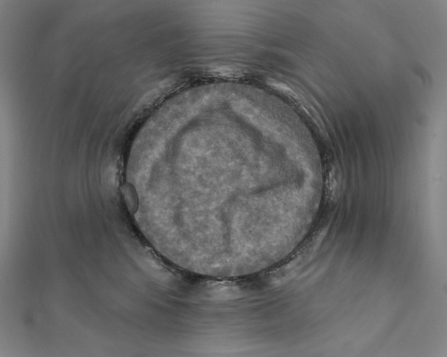 X0000112030424200908311219