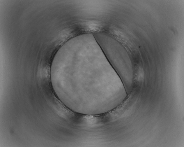 X0000112030425200908311219