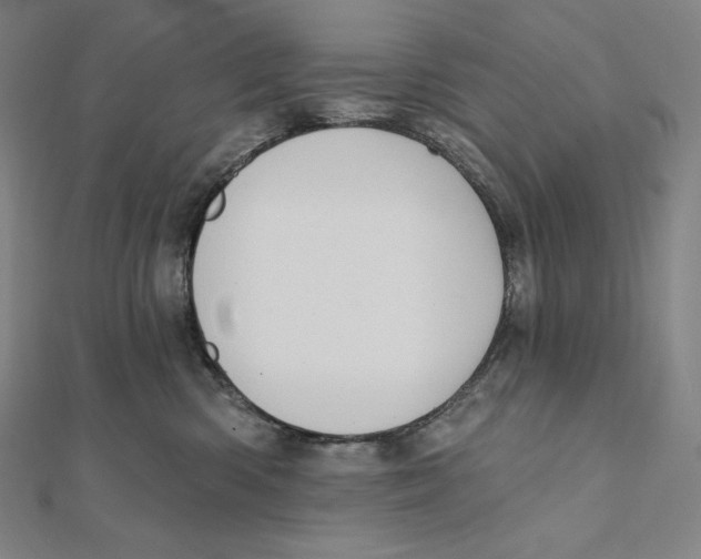 X0000112030426200908311219