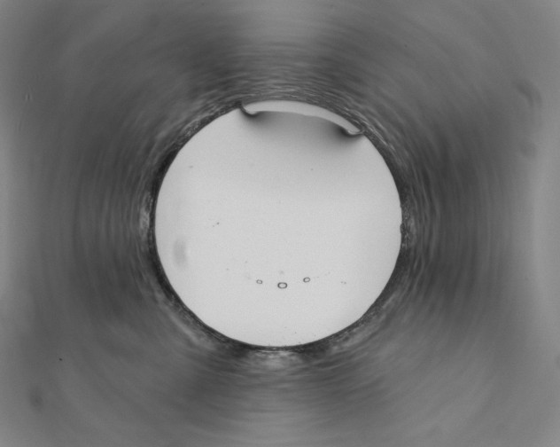 X0000112030427200908311219