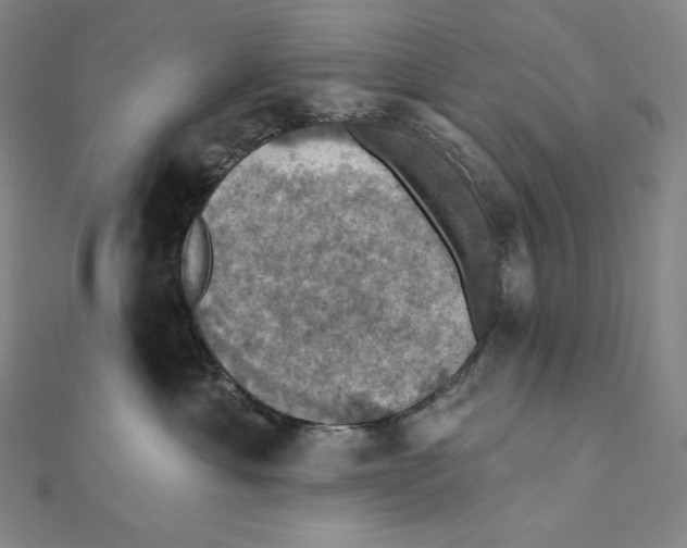 X0000112030429200908311219