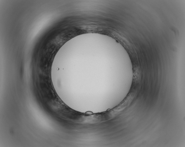 X0000112030430200908311219