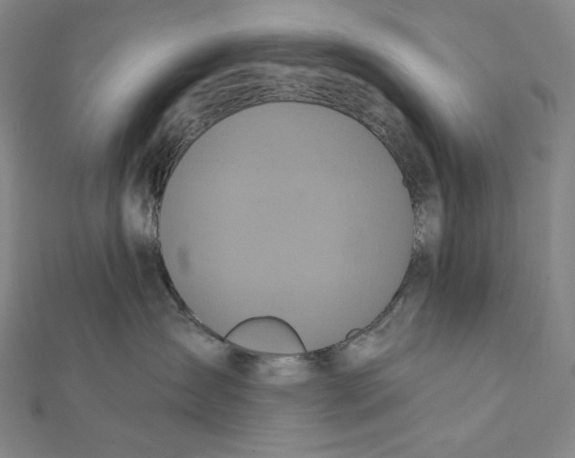 X0000112030431200908311219