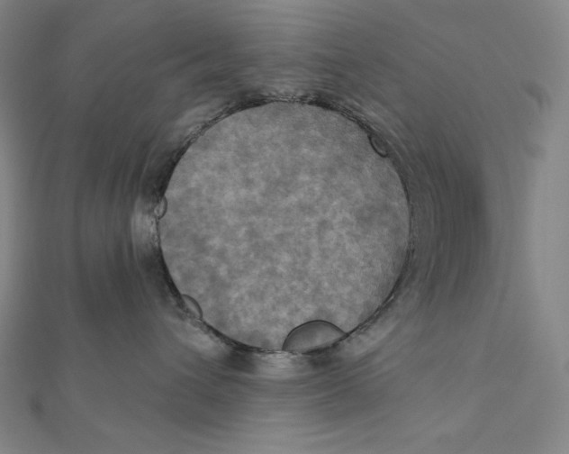 X0000112030432200908311219