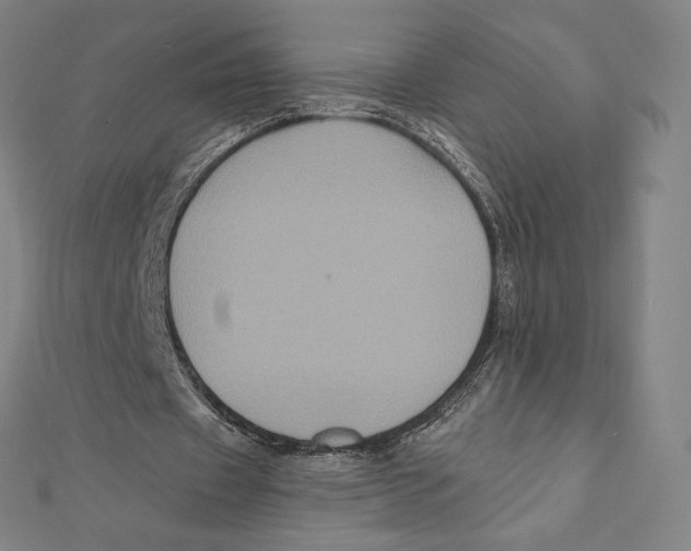 X0000112030433200908311219