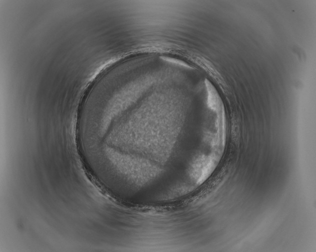 X0000112030434200908311219