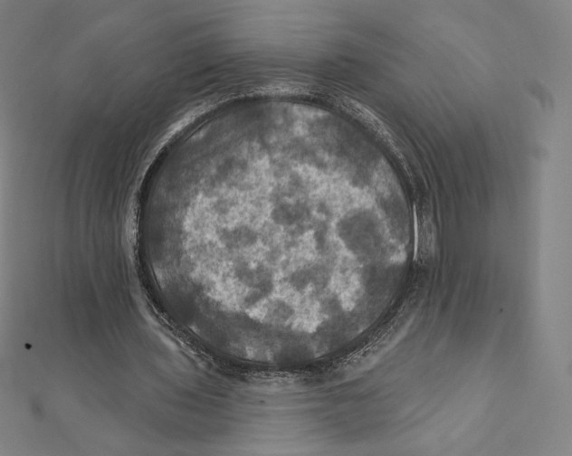 X0000112030435200908311219