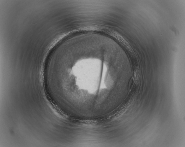 X0000112030436200908311219