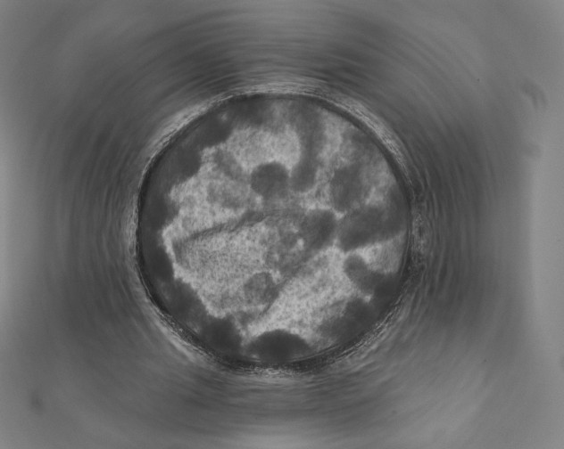 X0000112030437200908311219