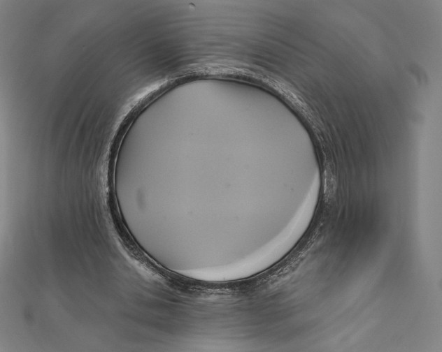 X0000112030438200908311219