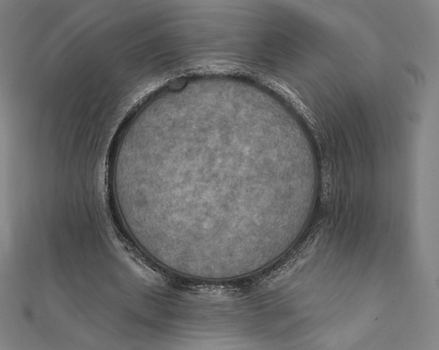 X0000112030439200908311219