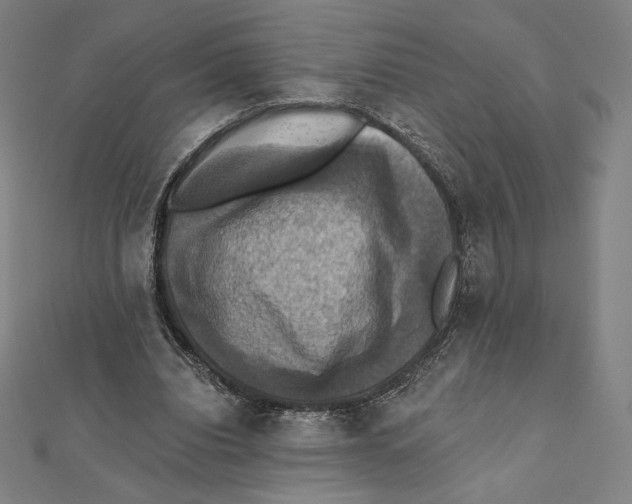 X0000112030440200908311219