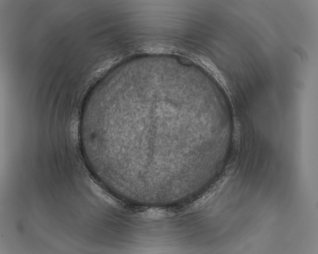 X0000112030441200908311219