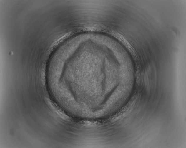 X0000112030442200908311219