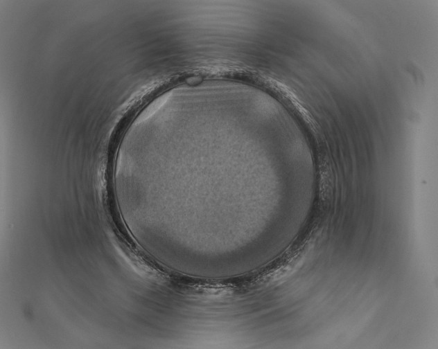 X0000112030443200908311219