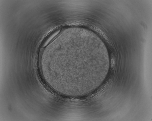 X0000112030444200908311219