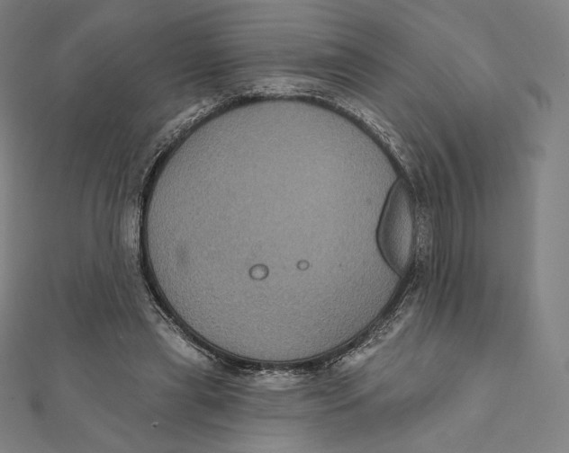 X0000112030445200908311219