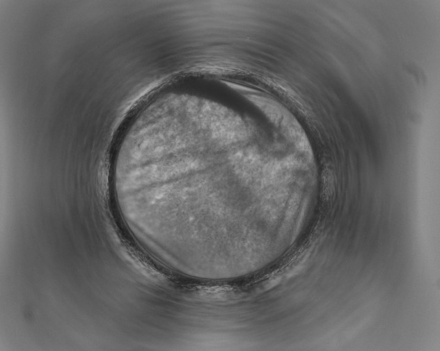 X0000112030446200908311219