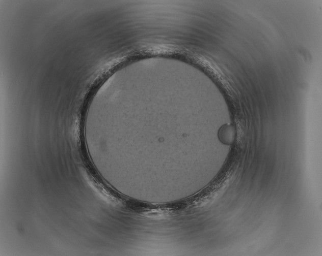 X0000112030447200908311219