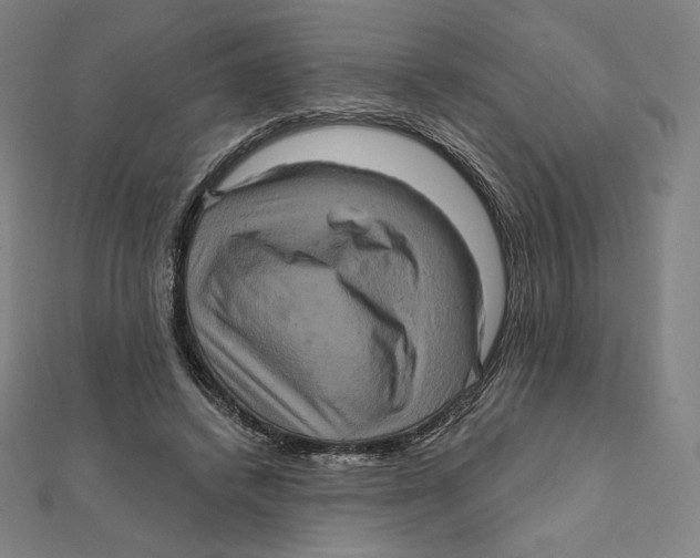 X0000112030448200908311219