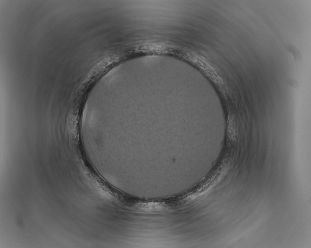 X0000112030449200908311219
