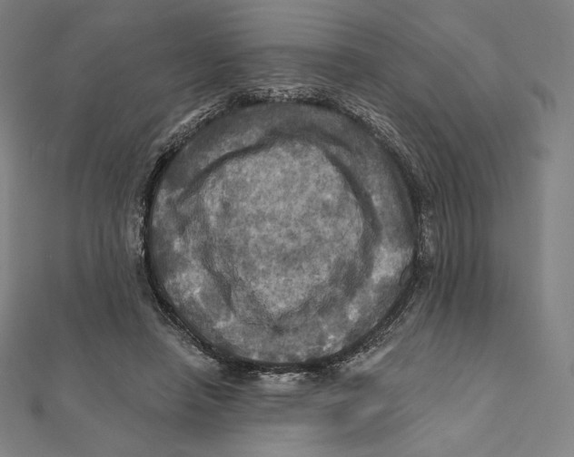 X0000112030450200908311219