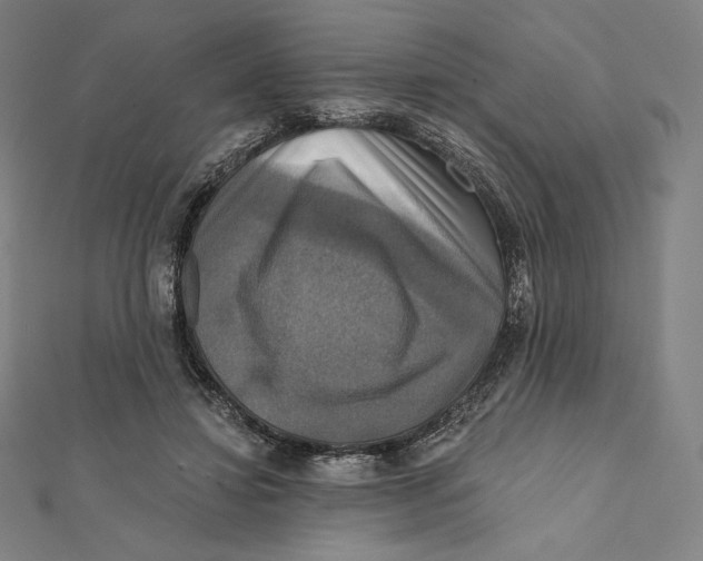 X0000112030452200908311219