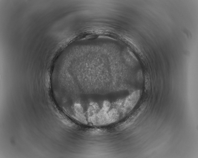 X0000112030453200908311219