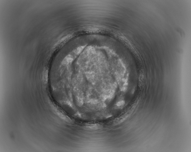 X0000112030454200908311219