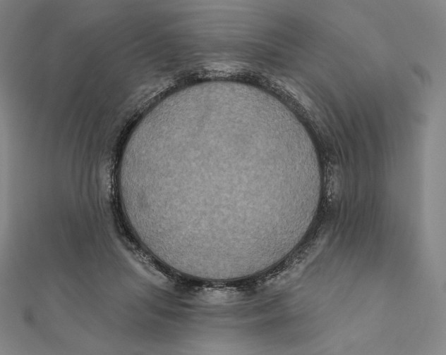 X0000112030455200908311219