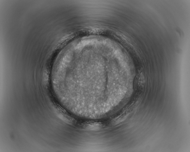 X0000112030456200908311219