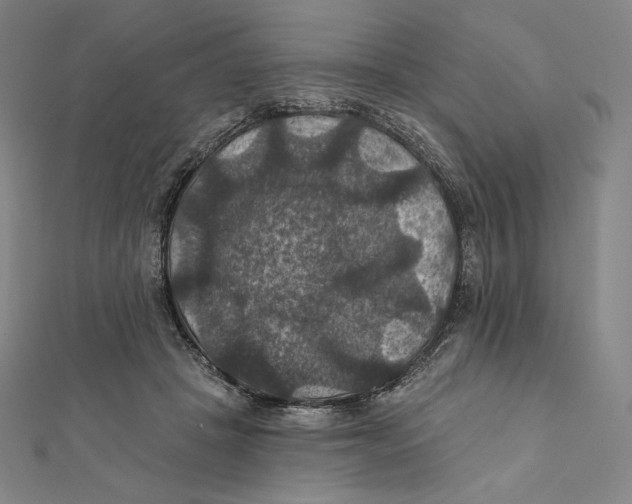 X0000112030457200908311219