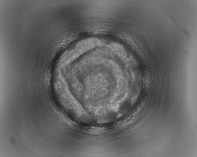 X0000112030458200908311219
