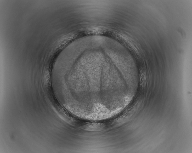 X0000112030459200908311219