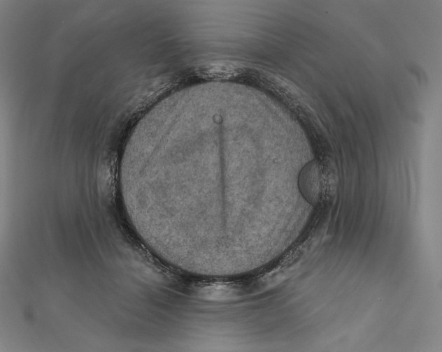 X0000112030460200908311219