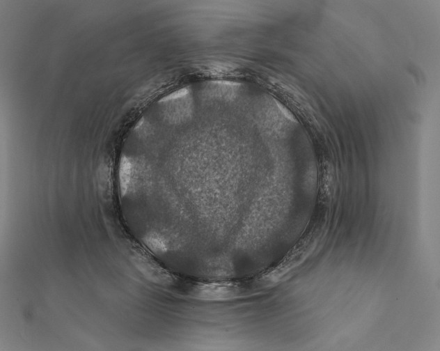 X0000112030461200908311219