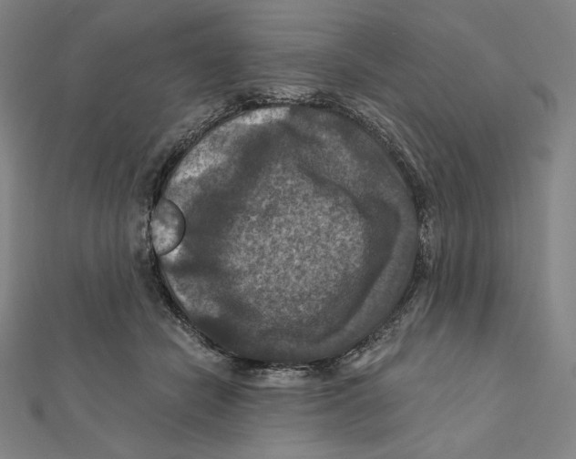 X0000112030462200908311219