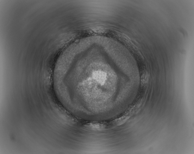 X0000112030464200908311219