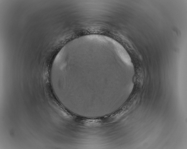 X0000112030465200908311219