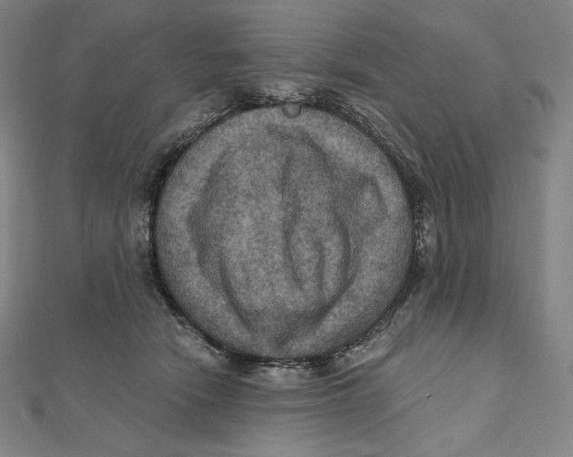 X0000112030466200908311219