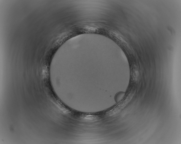 X0000112030467200908311219