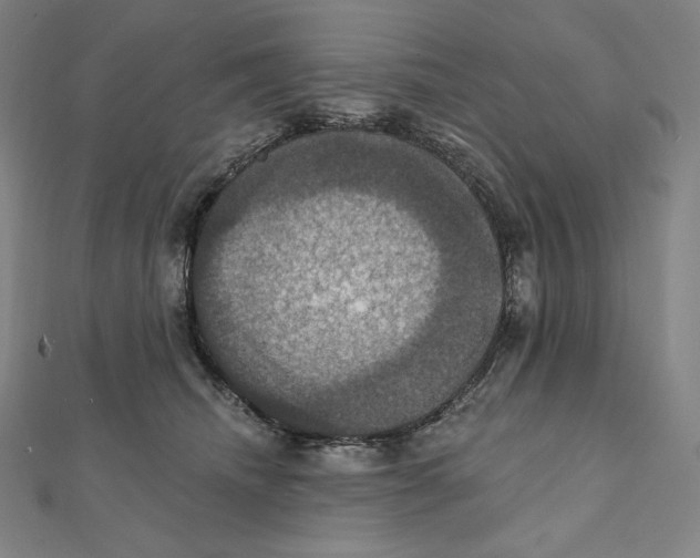 X0000112030468200908311219