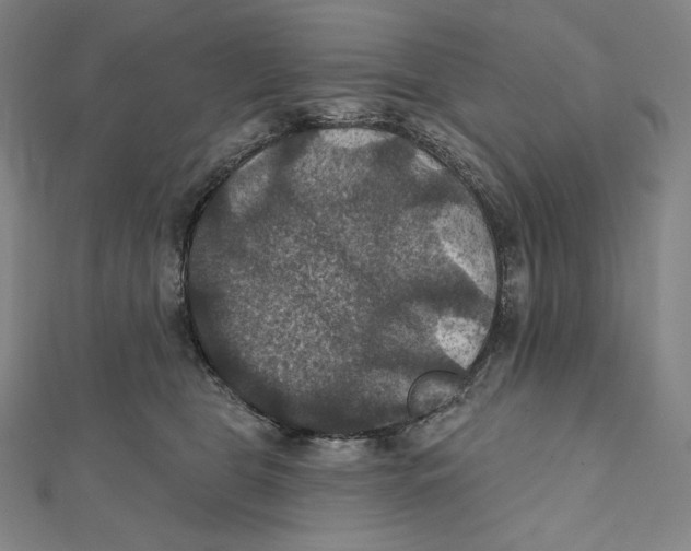 X0000112030469200908311219