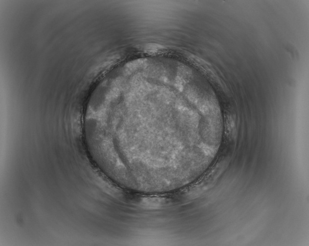 X0000112030470200908311219