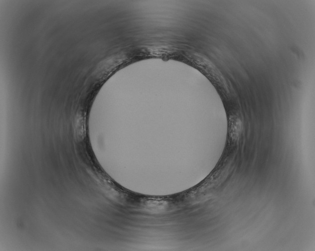 X0000112030471200908311219